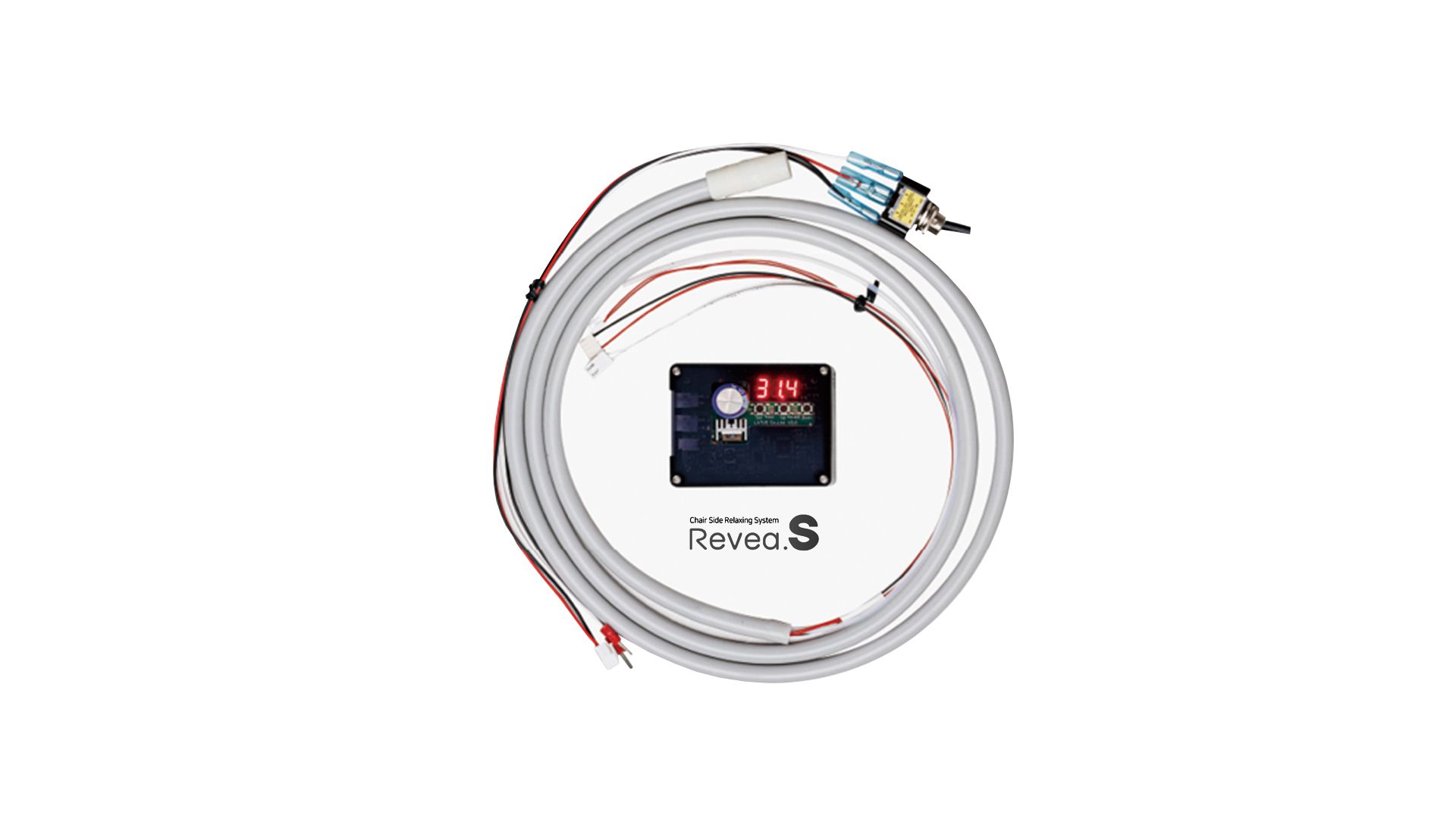 미온수 스케일링 Revea.S